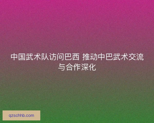 中国武术队访问巴西 推动中巴武术交流与合作深化